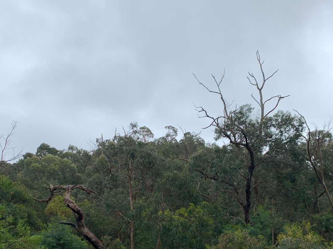 Anakie Gorge Walk-Anakie必去景点