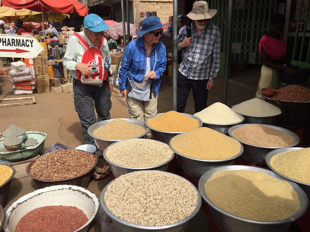 Grassroot Tours Ghana-Tamale必去景点