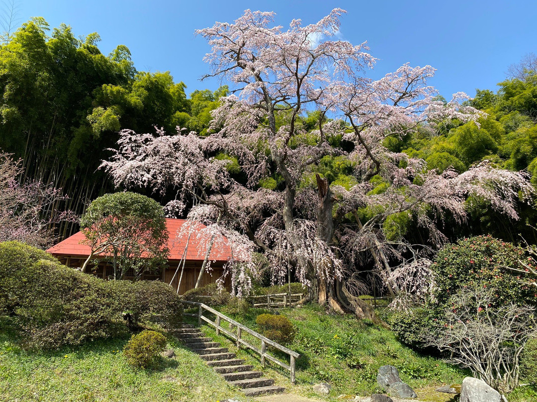 Sesson-an-郡山市必去景点