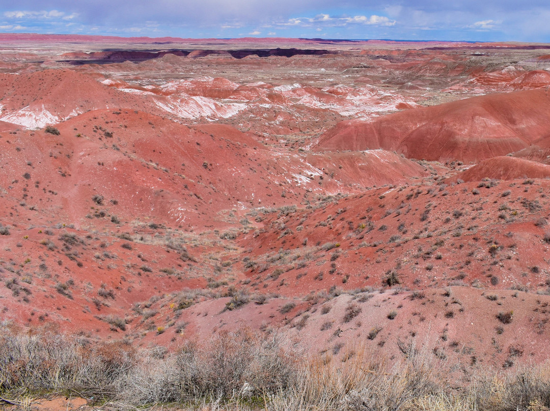 Painted Desert Rim Trail-石化林国家公园必去景点
