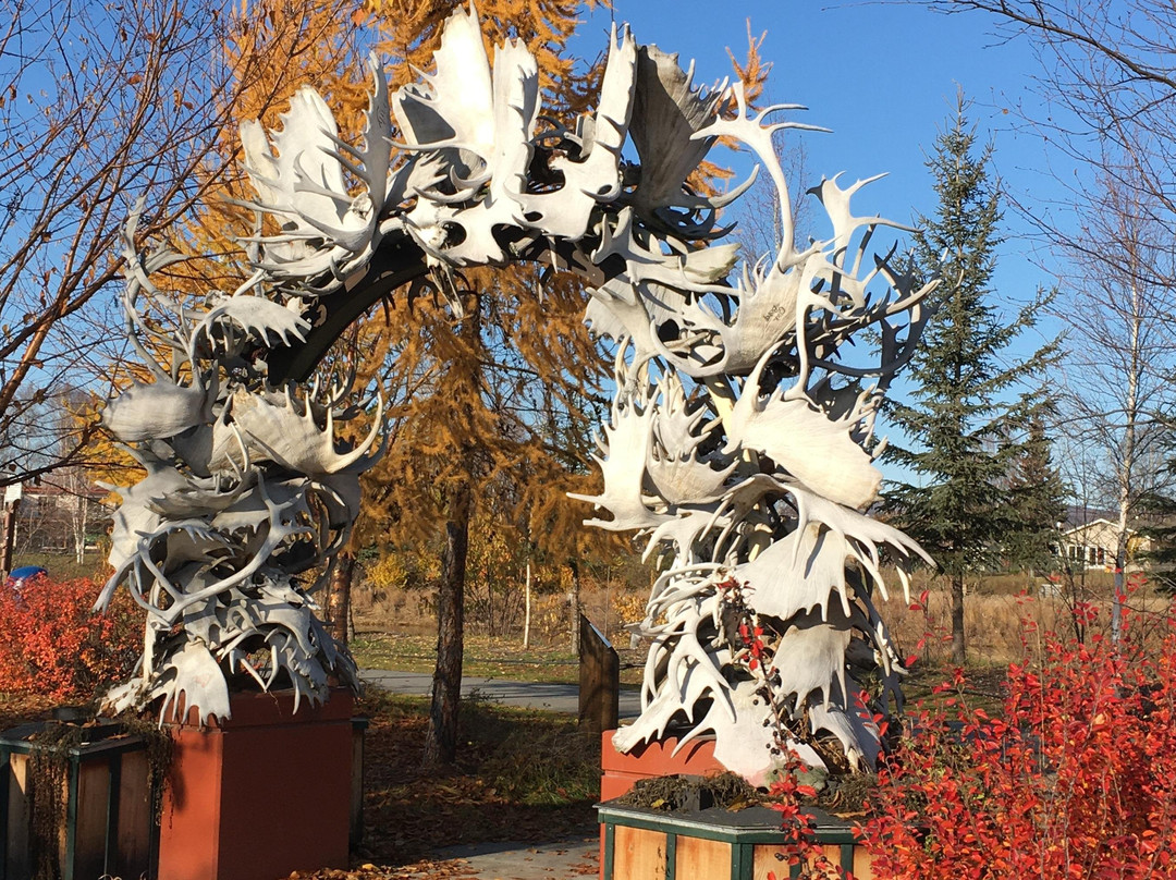 Moose Cab & Tours-费尔班克斯必去景点