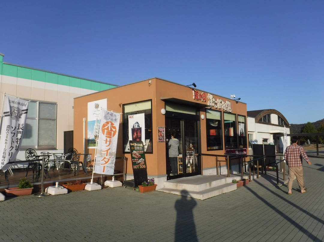 Tobuyunomaru Service Area Outbound-东御市必去景点