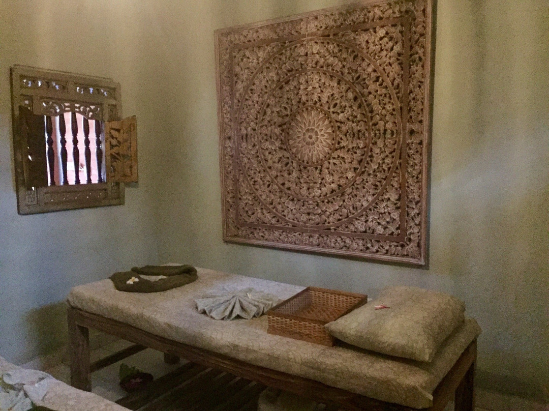 Sumatra Orangutan Tours-武吉拉旺必去景点