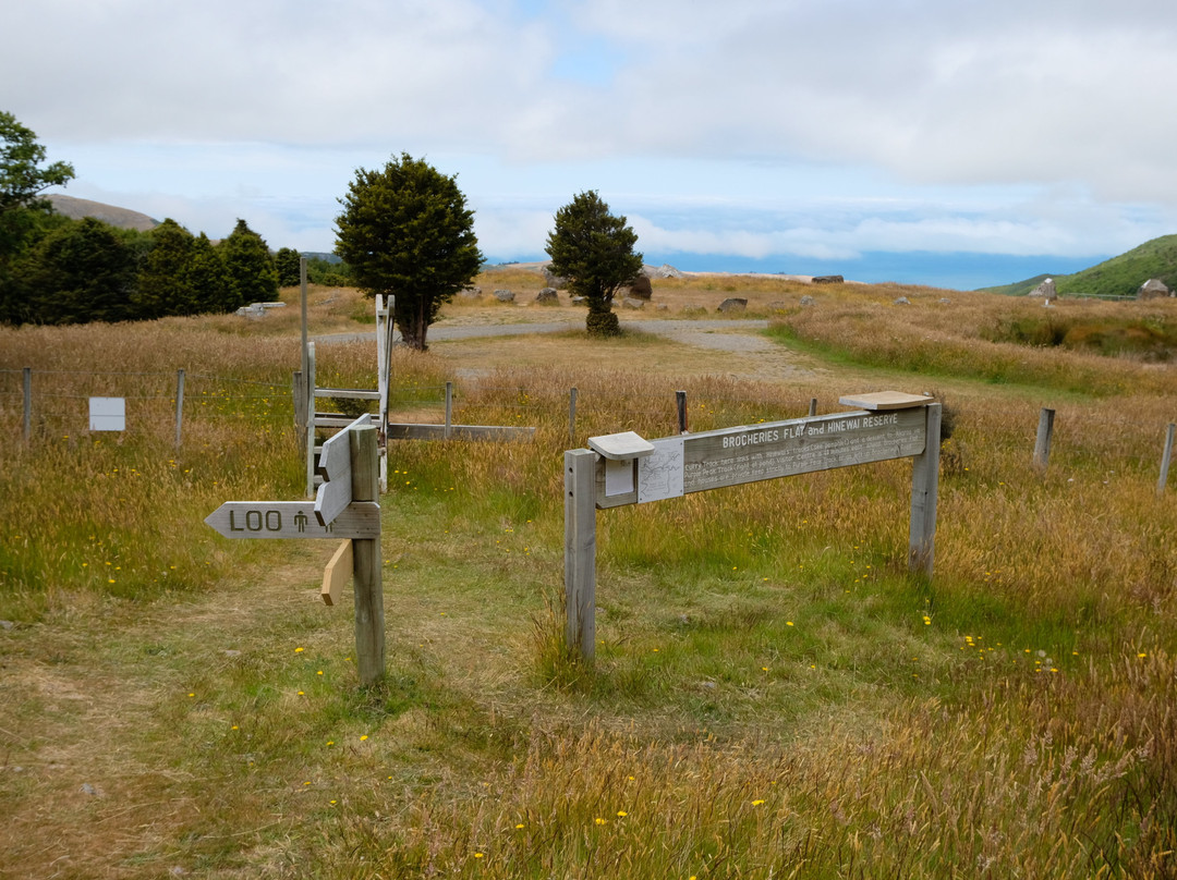 Hinewai Reserve-阿卡罗阿必去景点