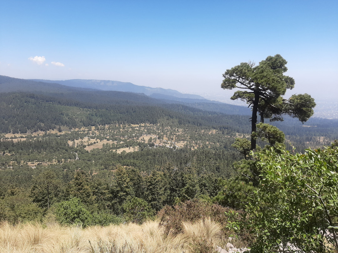 Cumbres Del Ajusco National Park-墨西哥城必去景点