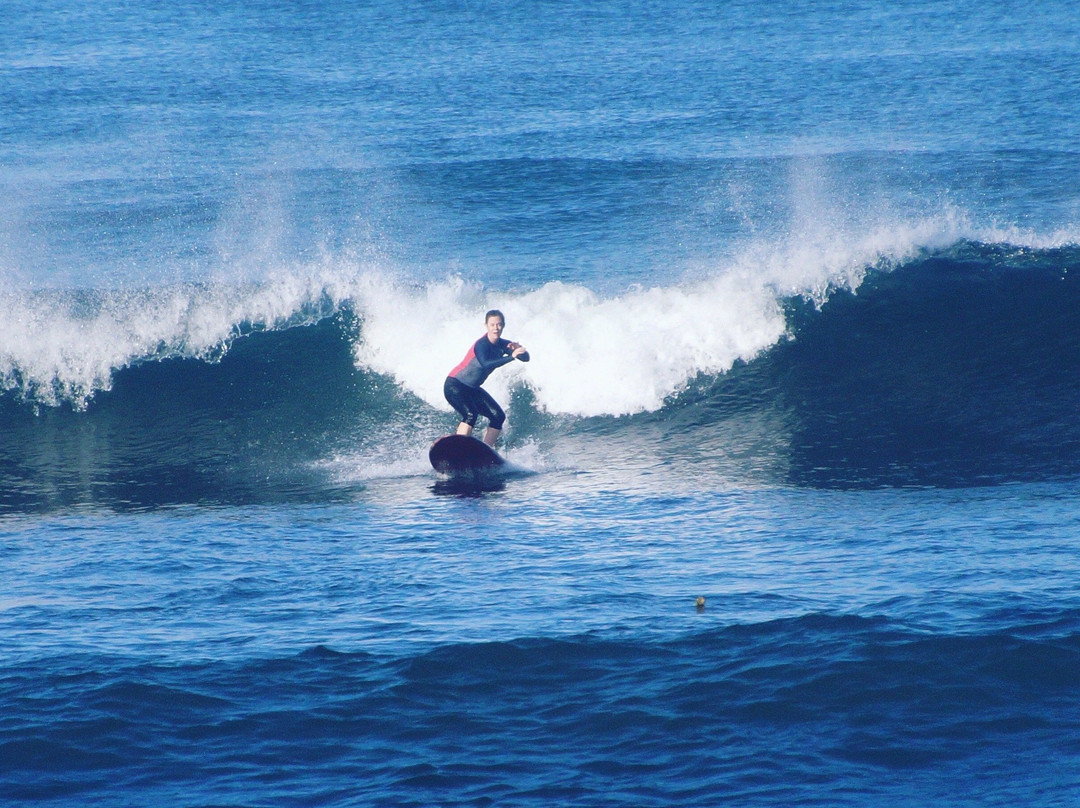Baruna Surf Culture-长谷必去景点