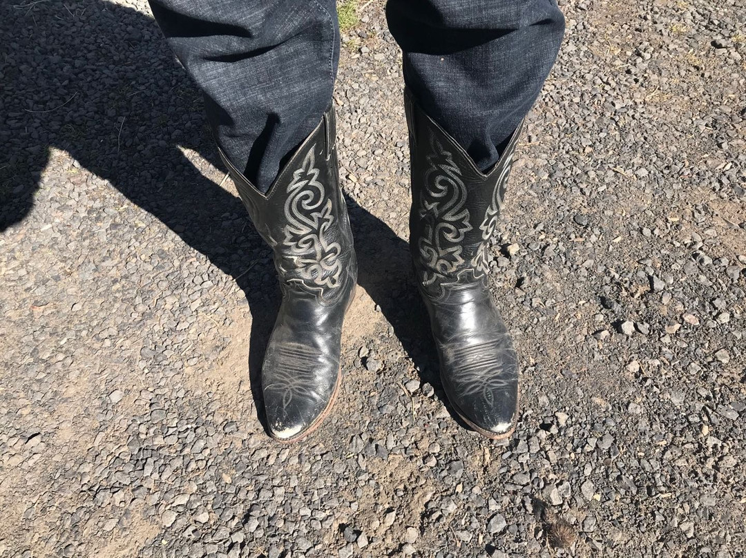 Wilson Ranches Retreat Bed & Breakfast主图