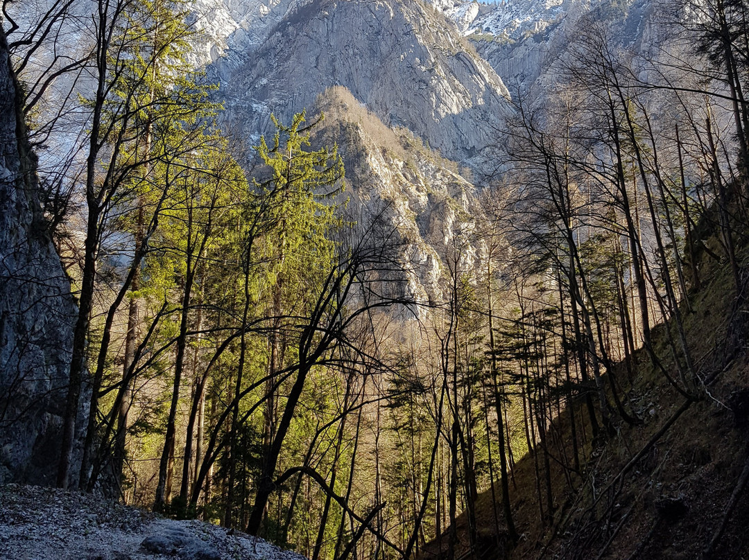 Velika Planina-Stahovica必去景点