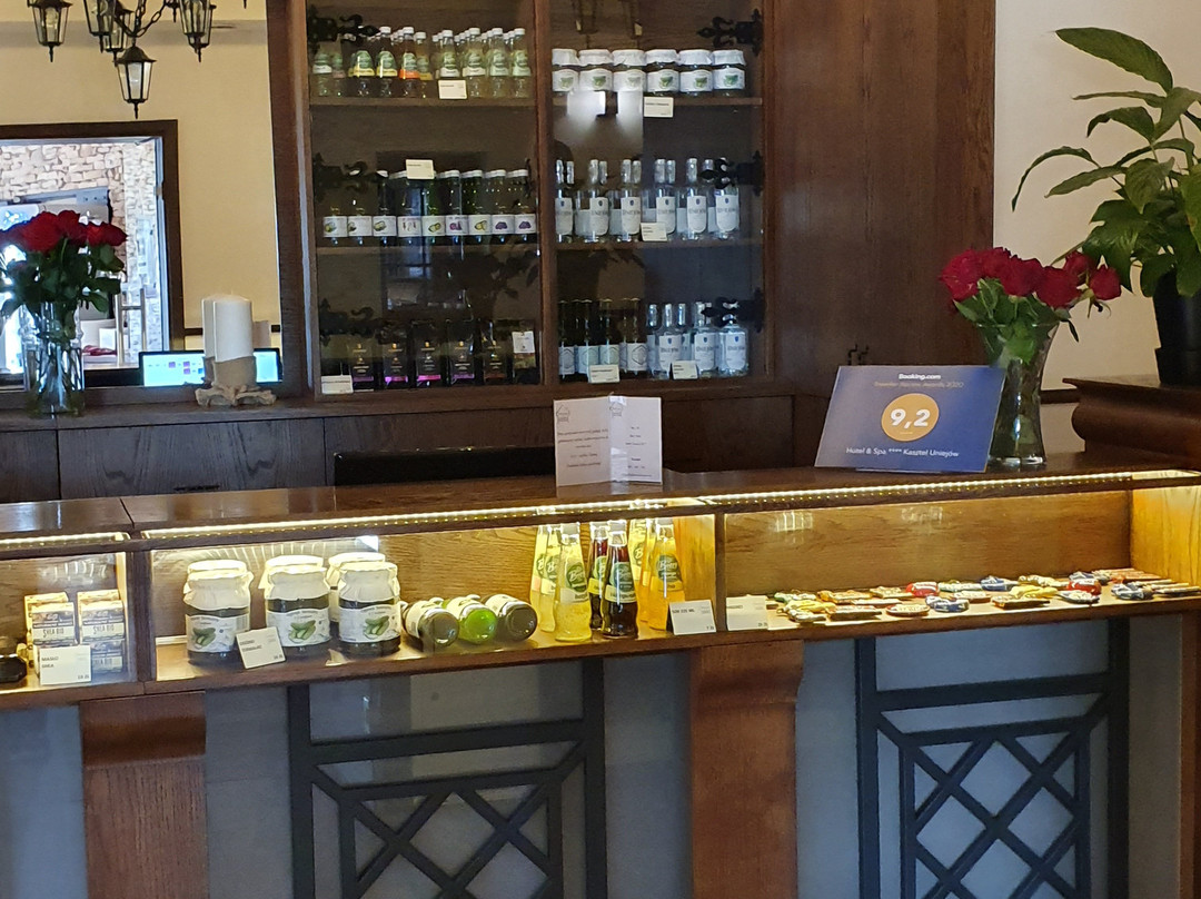 Hotel & Spa Kasztel Uniejow主图
