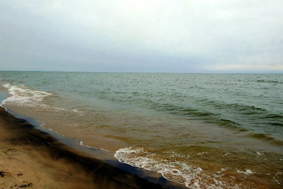 Kirk Park-West Olive必去景点