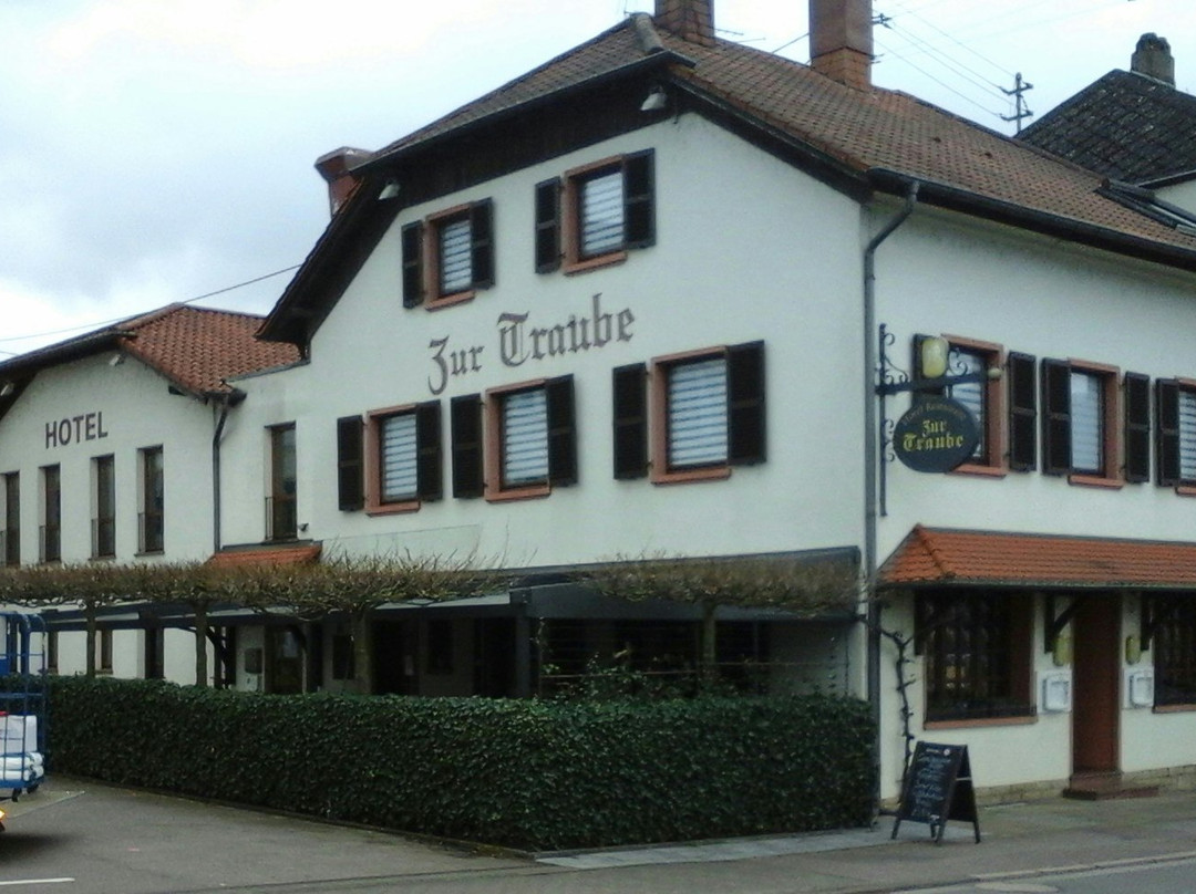 Hotel Zur Traube主图