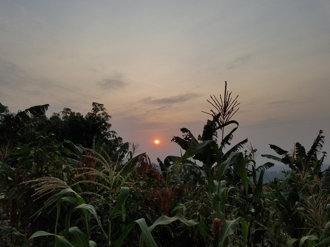 Terra Varietas Guesthouse主图