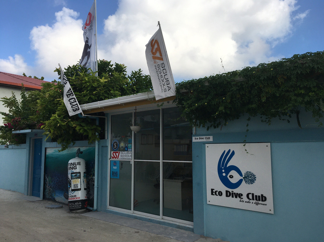 Eco Dive Club景点图片