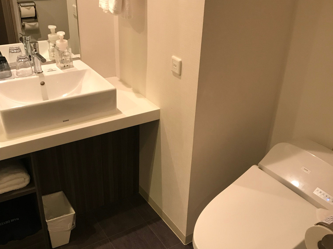 DEL style Osaka-Shinsaibashi by Daiwa Roynet Hotel主图