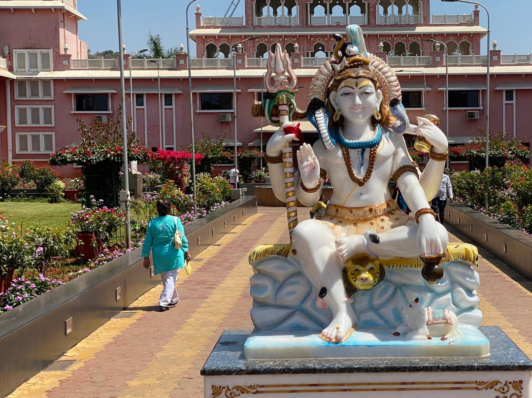 Shree Narayani Dham Temple景点图片