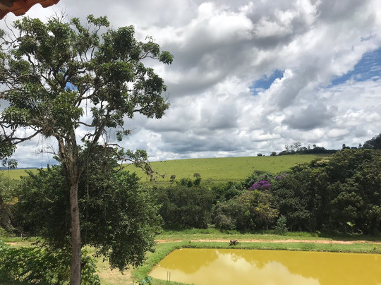 梨雅丽萨住宿加早餐旅馆主图