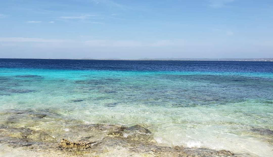 博内尔加勒比俱乐部主图