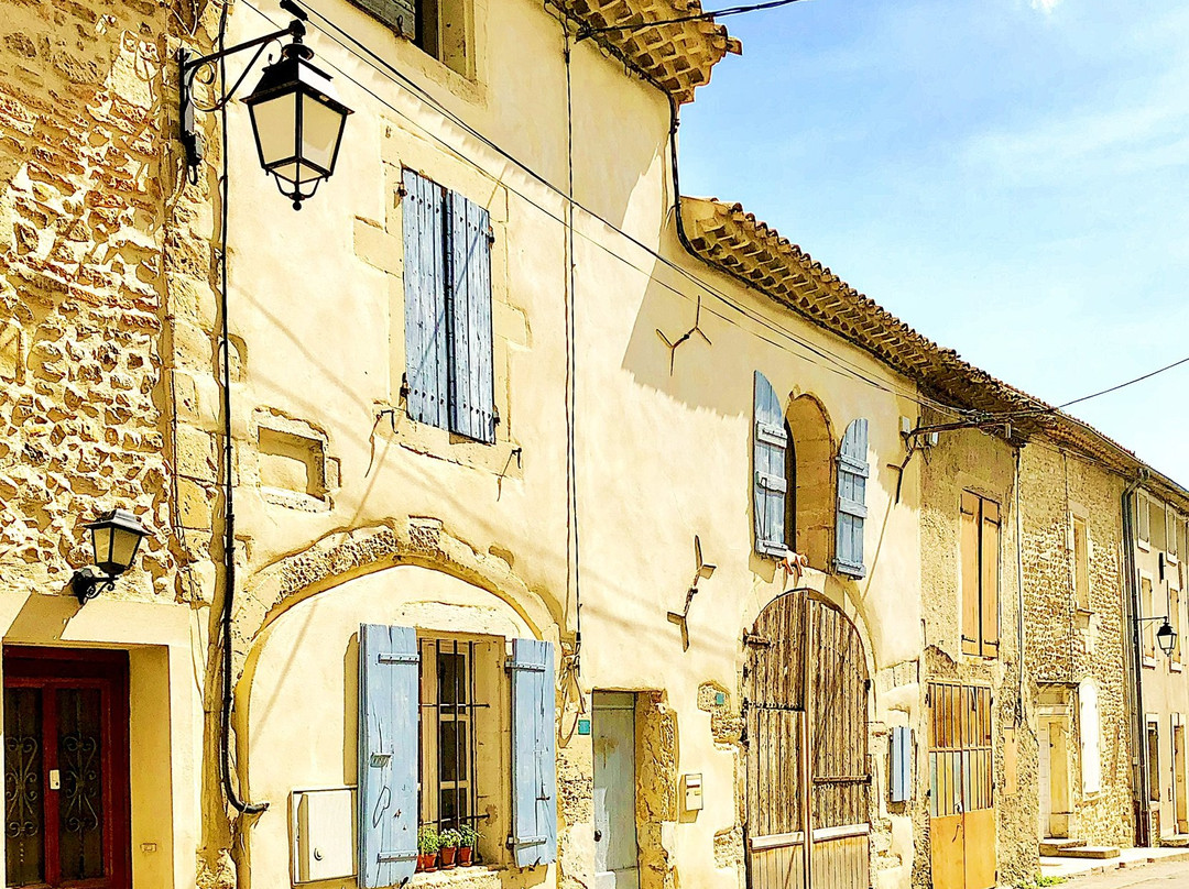 Musée de la Truffe et du Vin景点图片