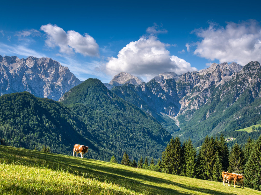 Day Trips Slovenia-卢布尔雅那必去景点