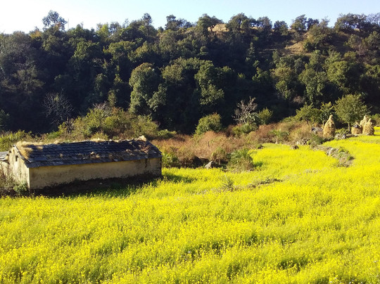 Rishikesh Day Tour-里希克虚必去景点