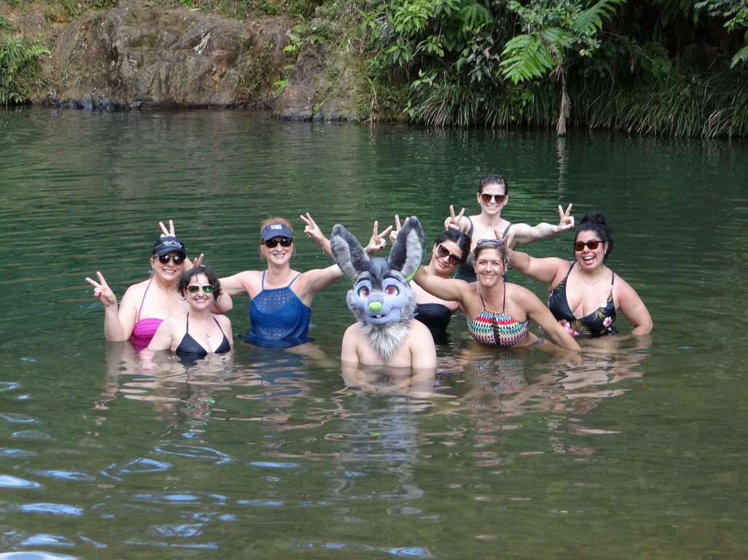 Charlie's Custom Day Tours Puerto Rico-圣胡安必去景点