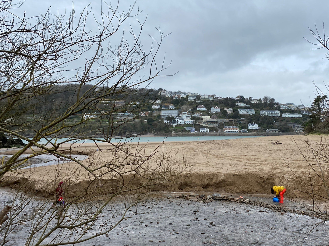 Salcombe to Gara Rock Walk景点图片