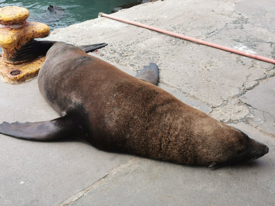 Sunny Cove Manor主图