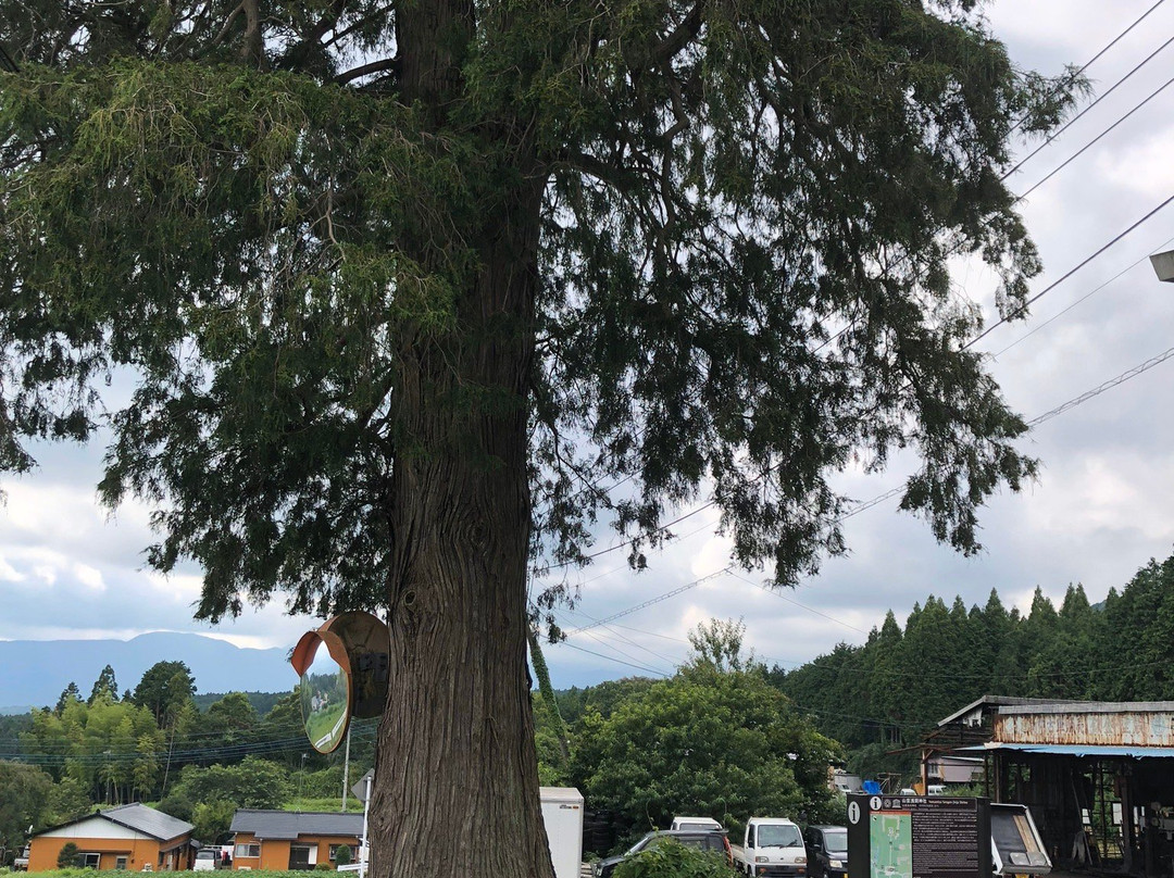 Yamamiyasengen Shrine景点图片