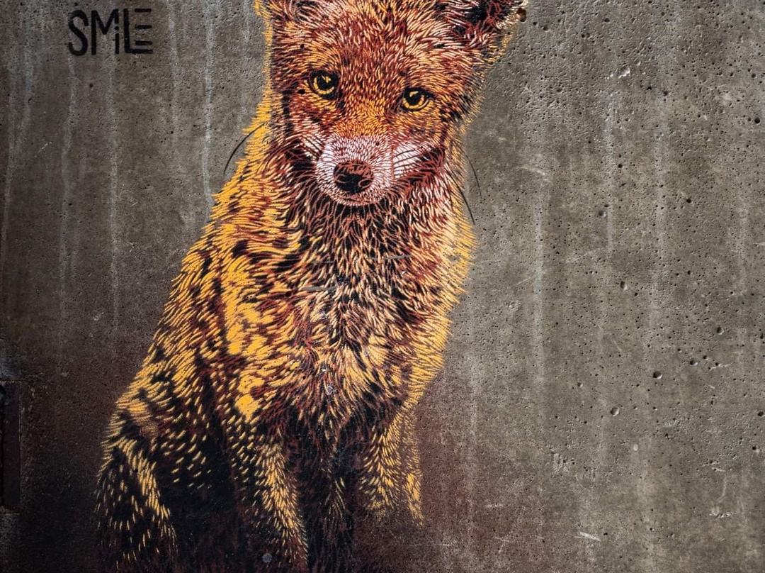 Photo Buffs Photography Adventures-博尔德必去景点