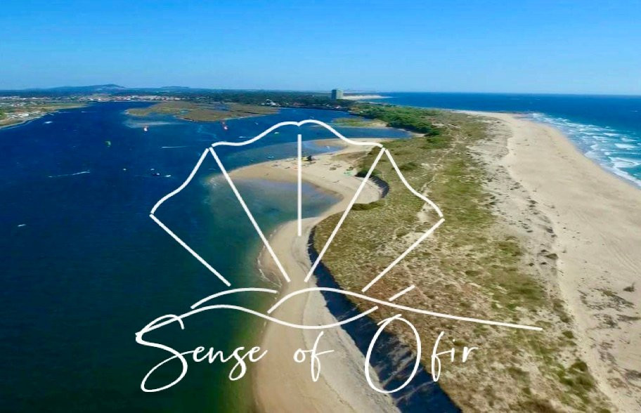 Sense Of Ofir主图