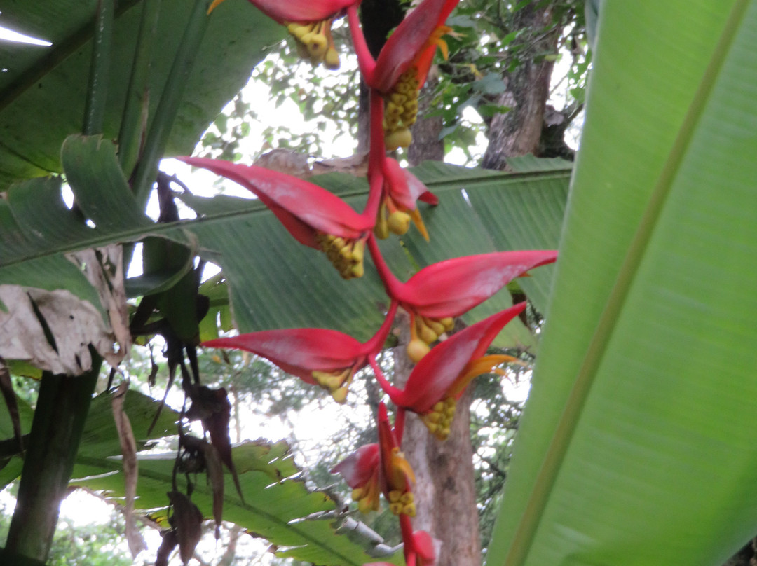 Kigongoni Lodge Arusha主图