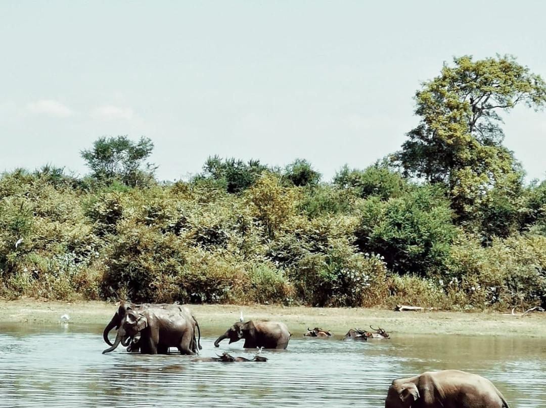 乌达瓦拉瓦酒店住宿-Mango Tree House