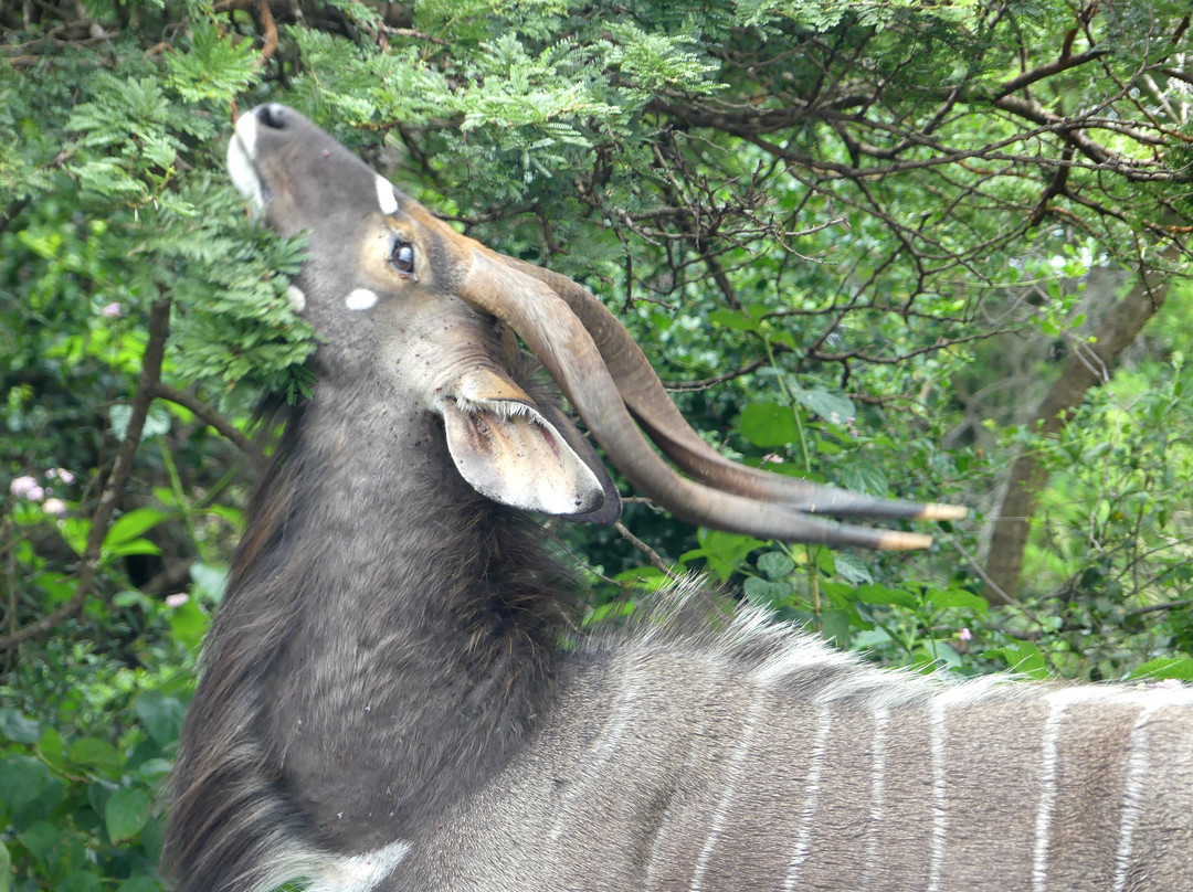 Carleen旅游攻略图片