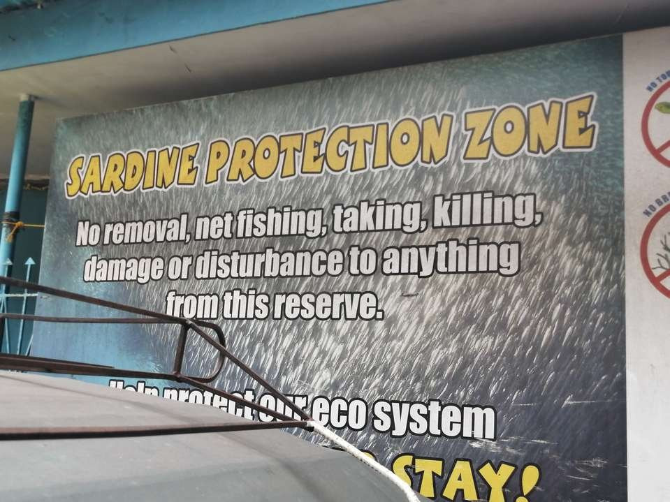 Panagsama Beach-莫阿尔博阿尔必去景点