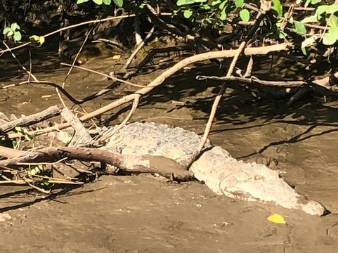 Rigo Suave CR Tours-Playa Flamingo必去景点