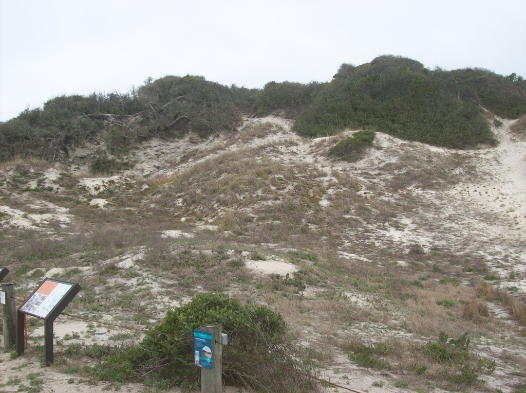 Burney Park-费尔南迪纳岛必去景点