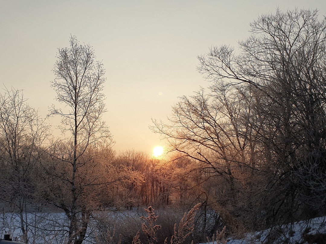 Otowa Bridge-鹤居村必去景点