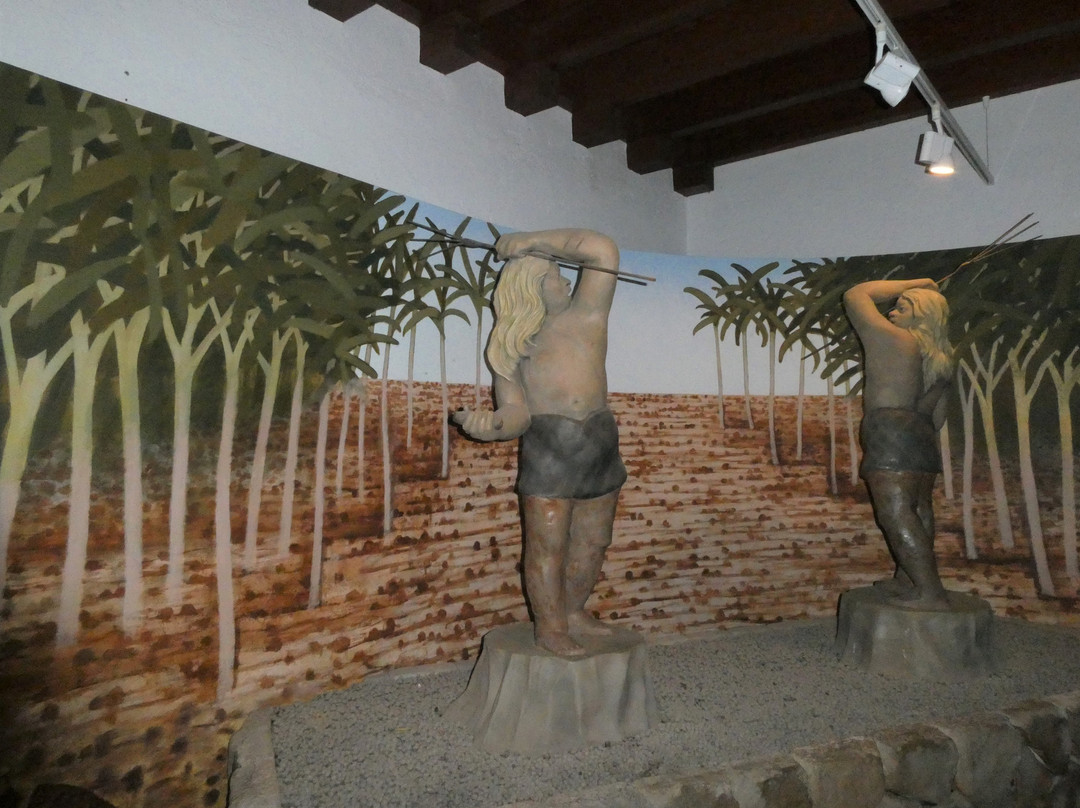 Museo Casa Chacona