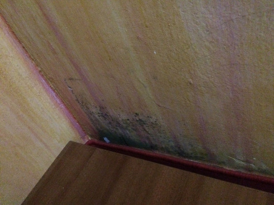 Vitaloase zu den Drei Brudern主图