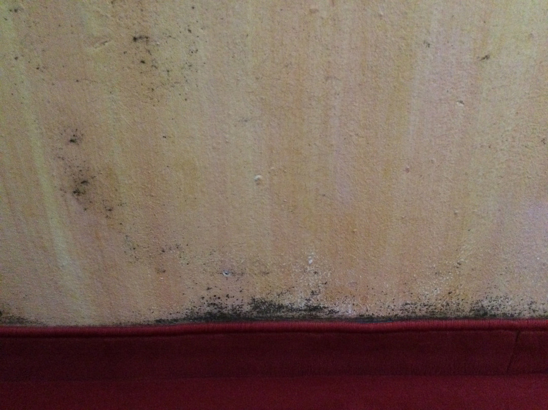 Vitaloase zu den Drei Brudern主图