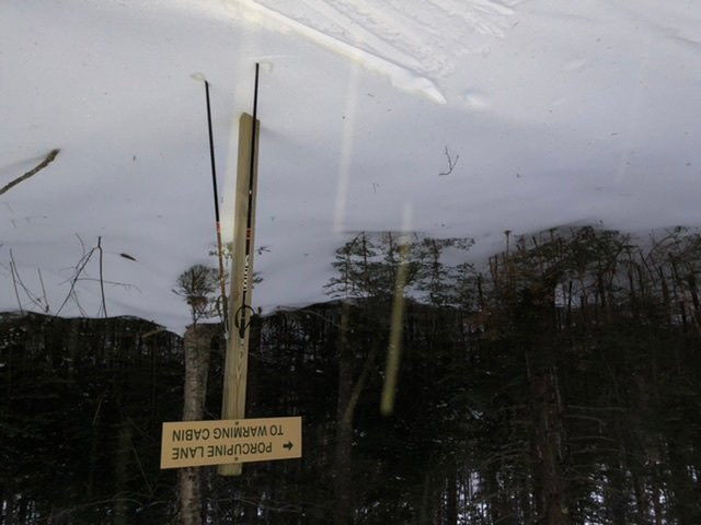 Bretton Woods Nordic Ski Area景点图片