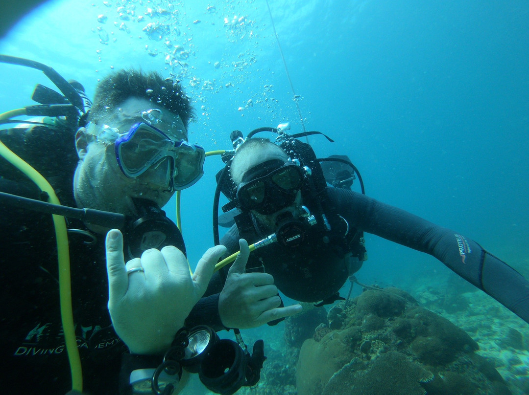 Koh Tao Diving Academy-涛岛必去景点