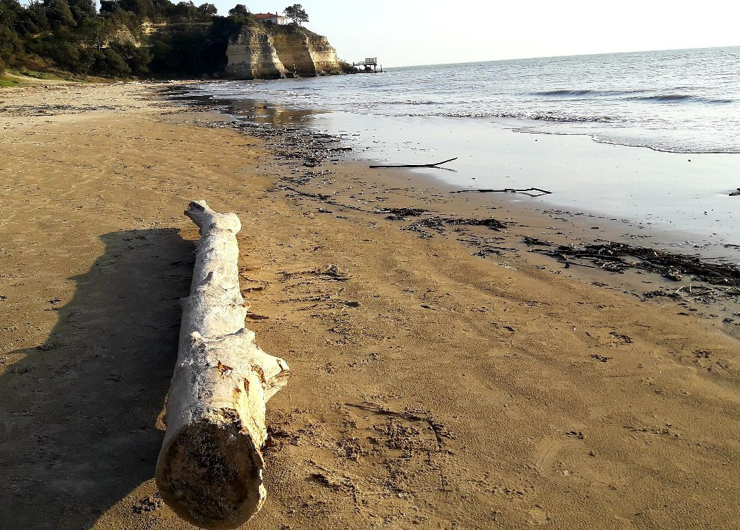 Plage Des Nonnes景点图片