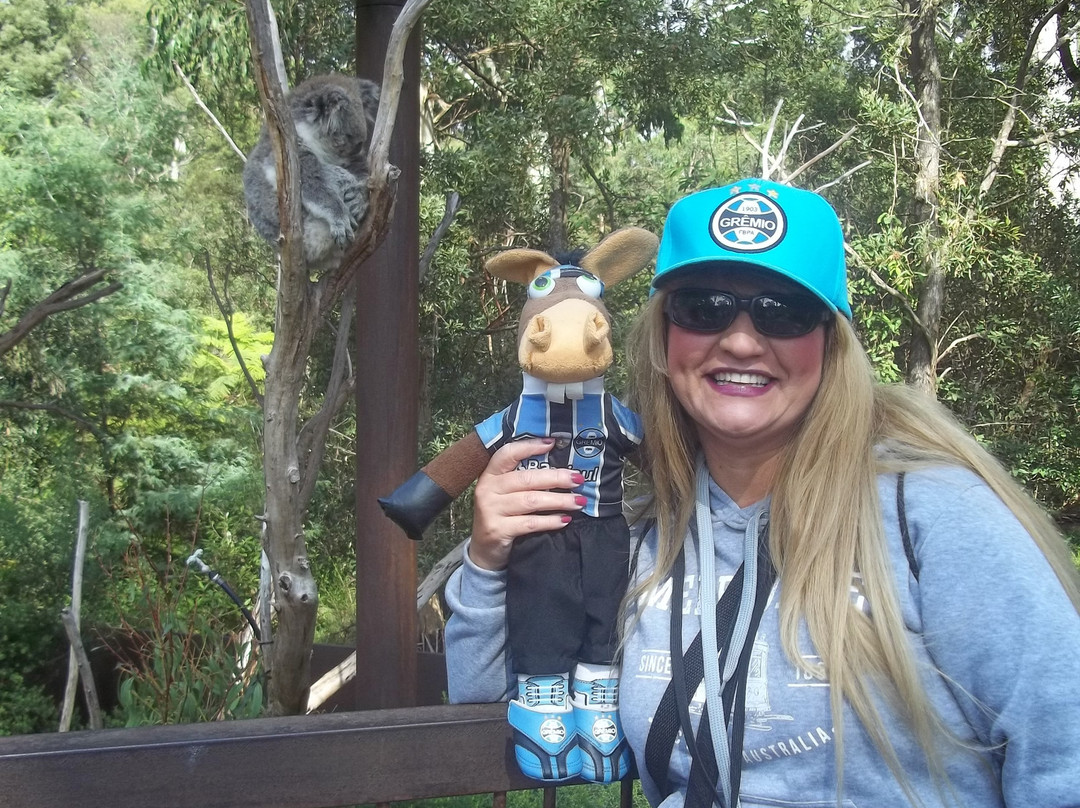 希尔斯维尔保护区-希尔斯维尔必去景点