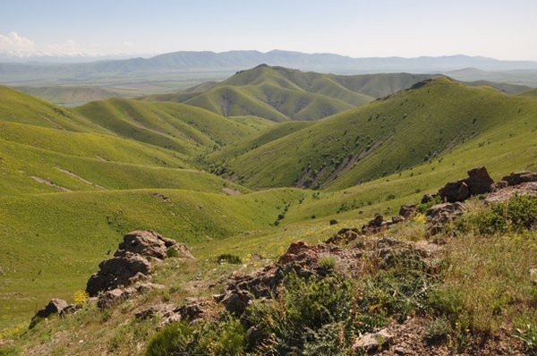 Karatau Nature Reserve