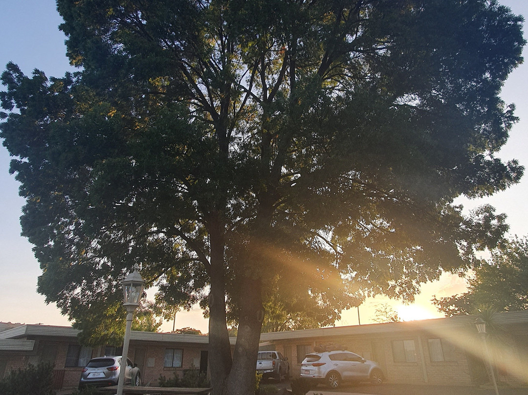 Blayney Goldfields Motor Inn主图