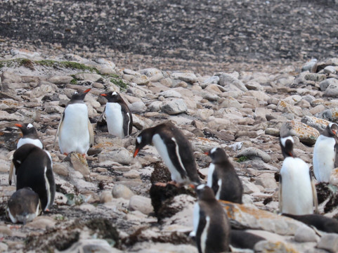 North Ponds Park-Webster必去景点