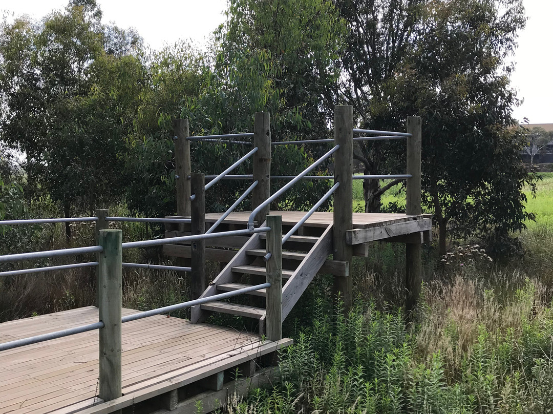 Macalister Wetland Reserve-Maffra必去景点