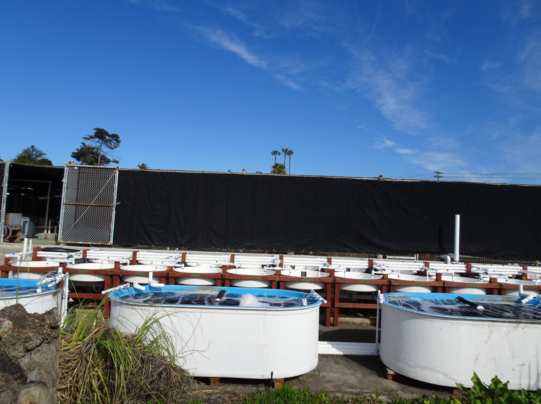 Agua Hedionda Lagoon Discovery Center-卡尔斯巴德必去景点