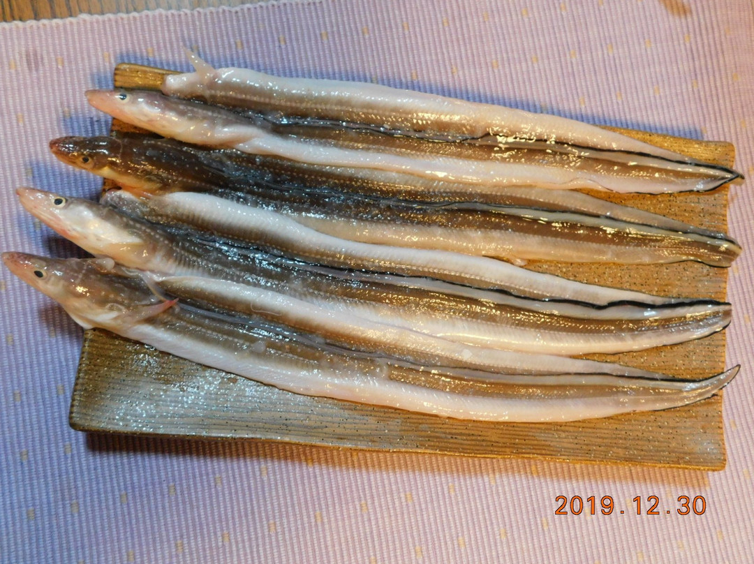 Okadaura Fishing Port-泉南市必去景点